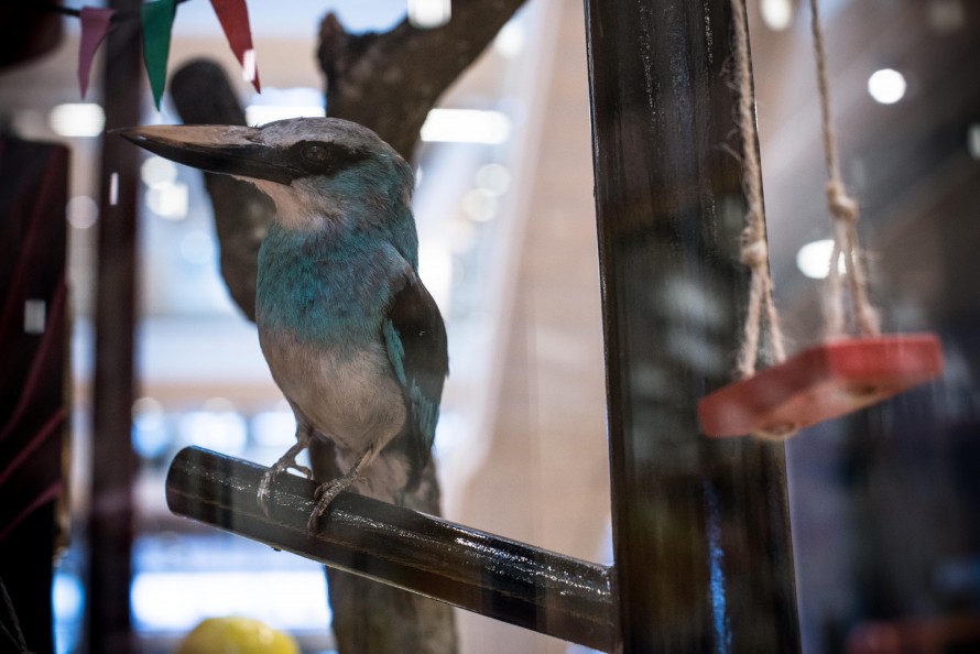 Small sculpture of a bird with a blue chest.
