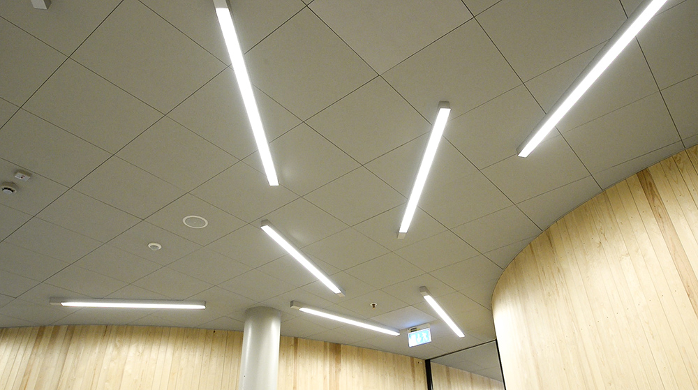A ceiling with fluorescent lamps,