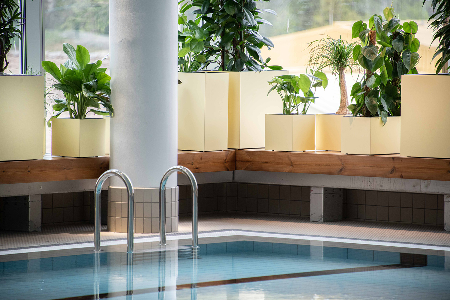 Parts of an indoor swimming pool with plants in the background.