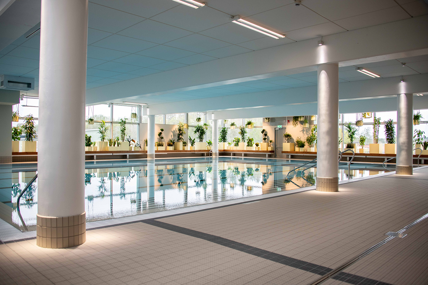 An indoor swimmingpool with green plants in the background.