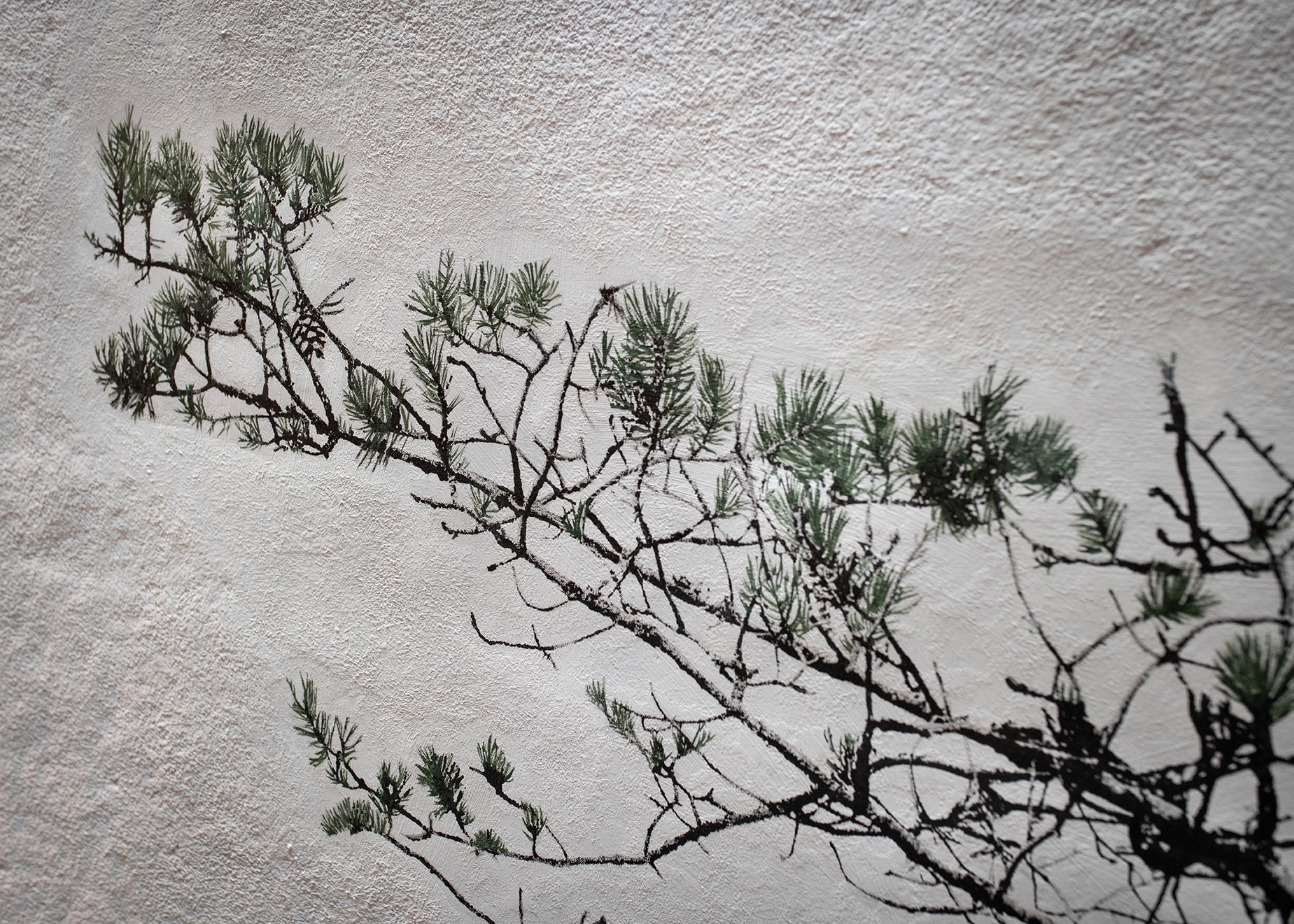 Image of a lit wall with a pine, close-up.
