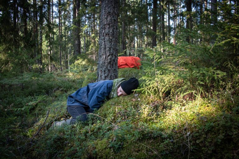Person ligger i mossasn framför ett träd
