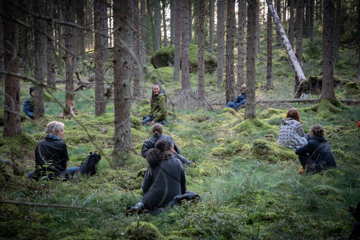 Personer som sitter utspridda i ett skogslandskap