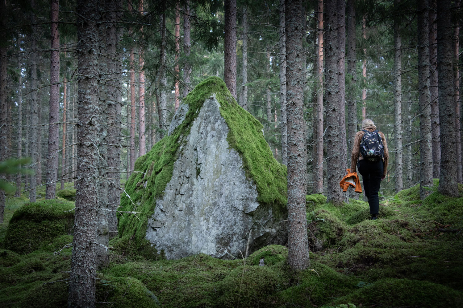 En stor triangelformad sten med mossa på i en skog. En person går till höger om stenan