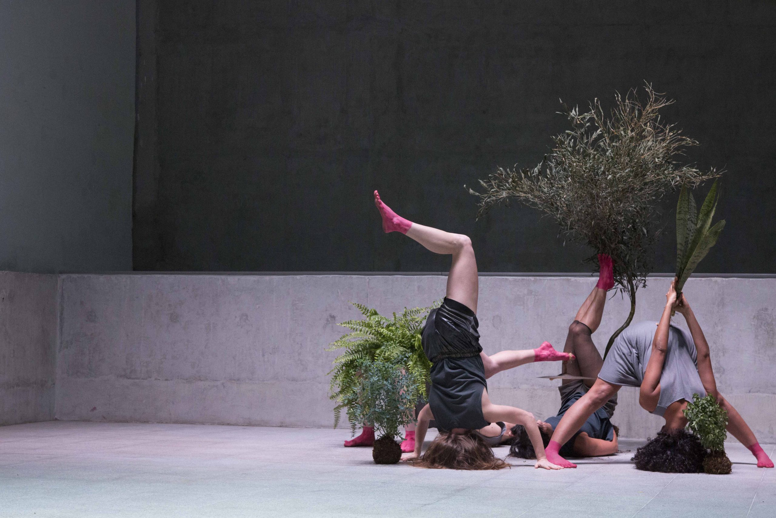 Three women on their head on concrete.
