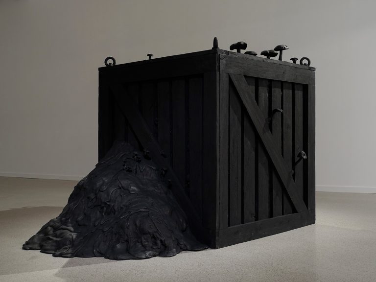 En svart trälåda med svarta svampar i olika format på ovansidan