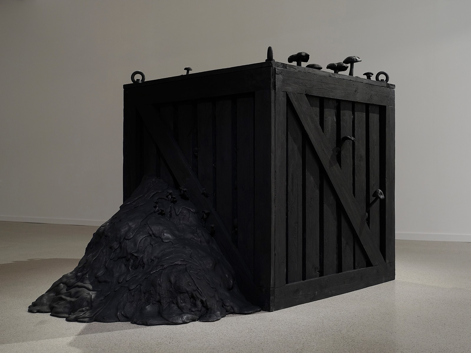 En svart trälåda med svarta svampar i olika format på ovansidan