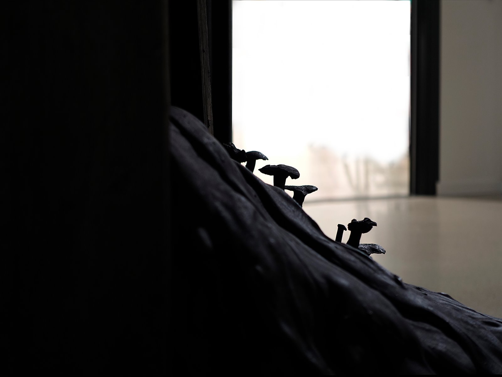 Detaljbild med svampar 