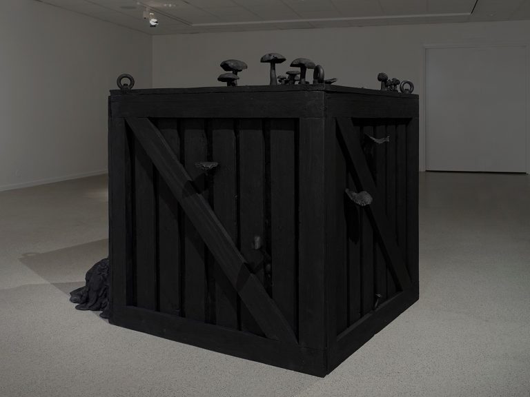 Stor svart trälåda med svarta svampar på ovansidan och svampar som tränger sig ut genom springor på lådans sidor