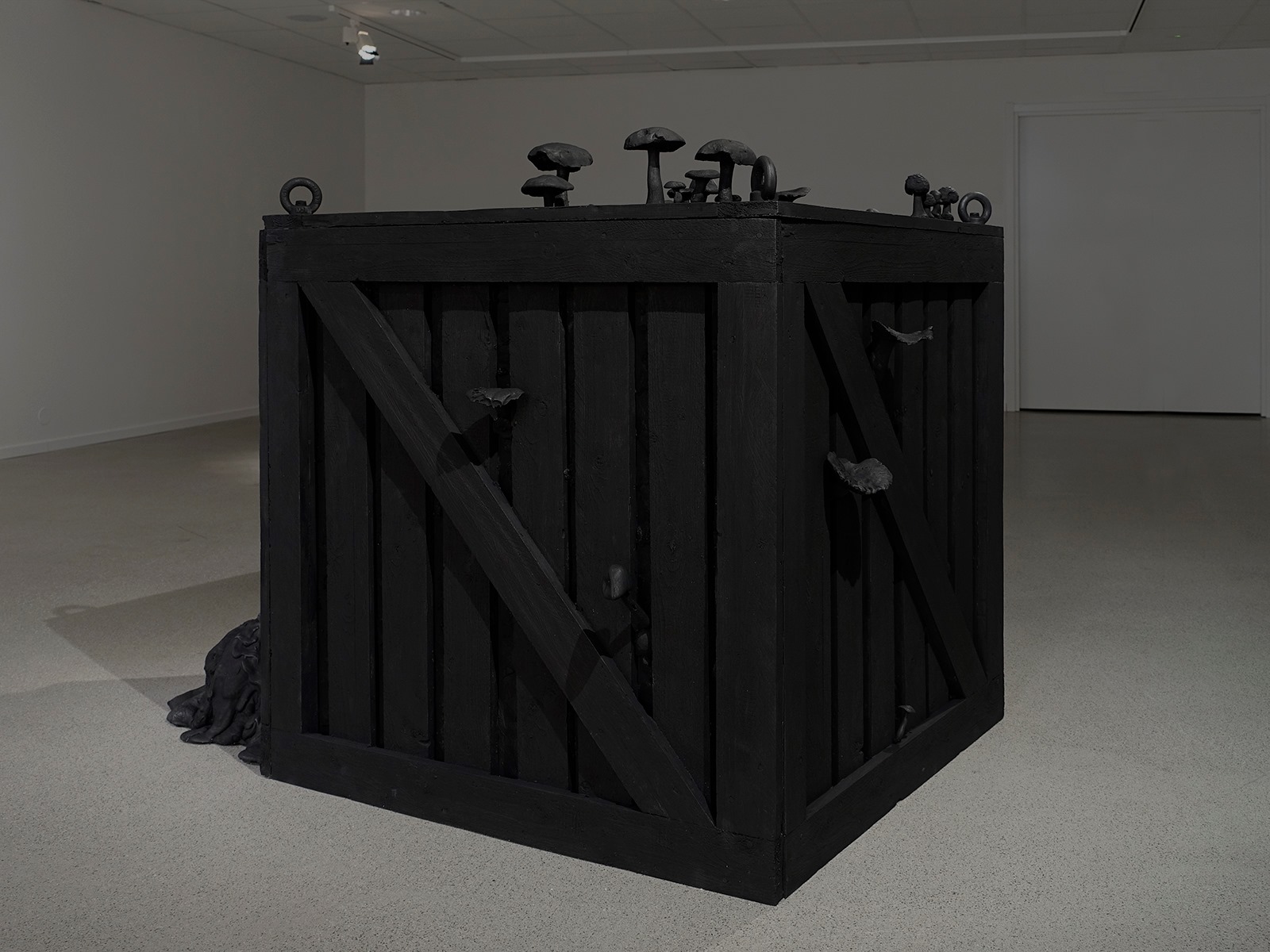 Stor svart trälåda med svarta svampar på ovansidan och svampar som tränger sig ut genom springor på lådans sidor