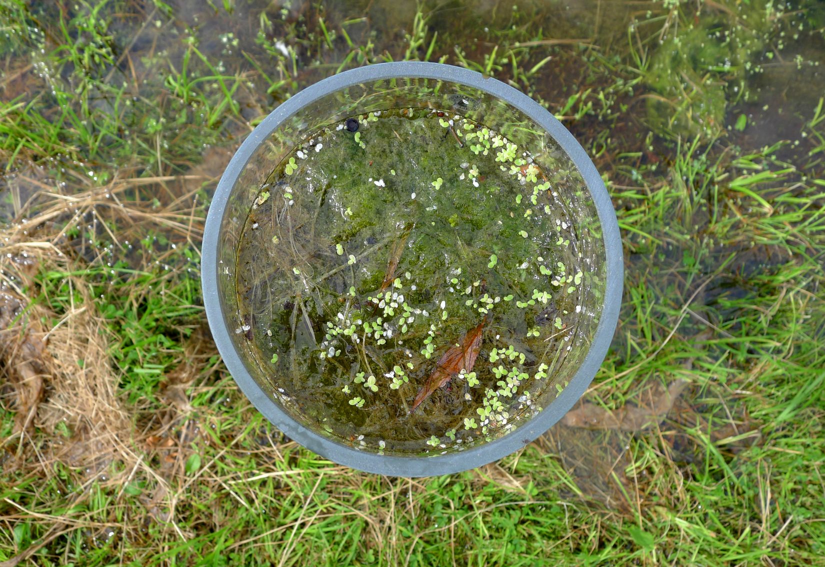 Ett konstverk i ljust mintgrönt när ligger på plast och hanteras av person med vita handskar.