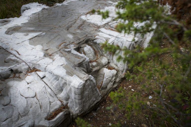 Närbild på cementets mönster 