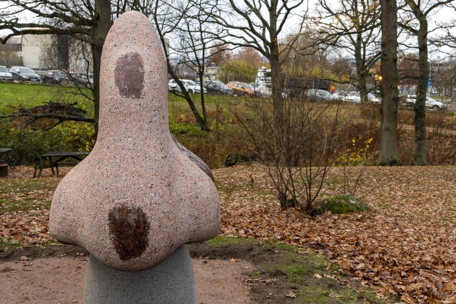 A nose made of stone.