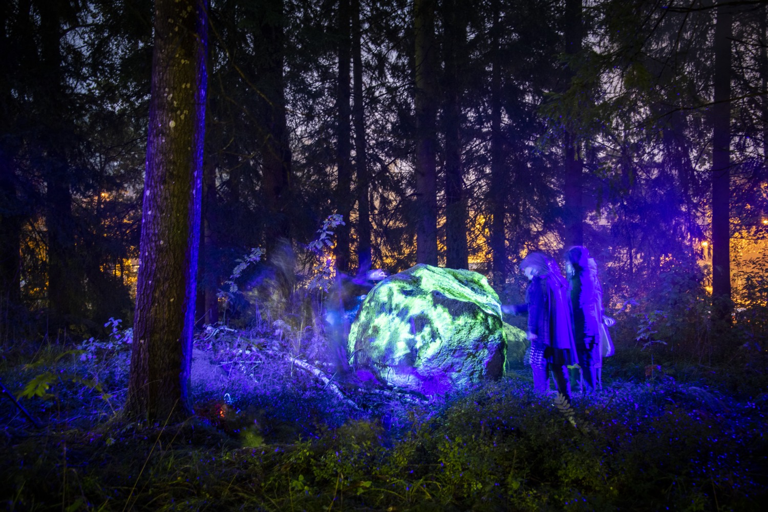 Bild på en mörk skog och en floroserande sten. 