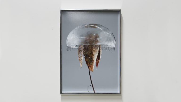 Olika material i form av en blomma