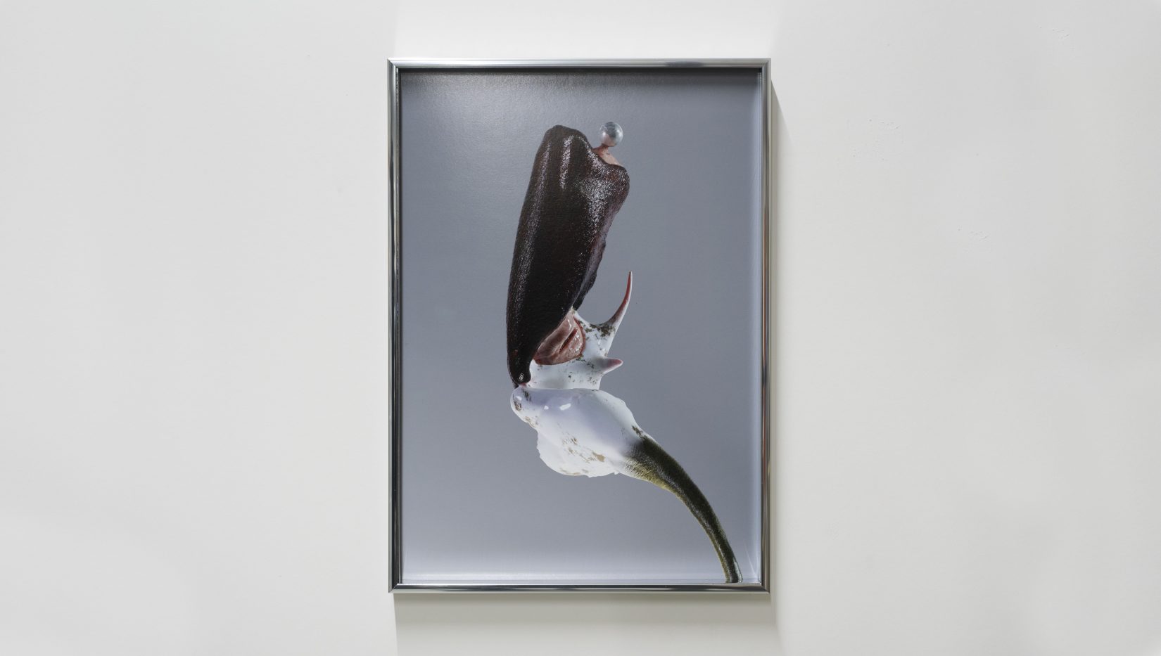 Olika material i form av en blomma